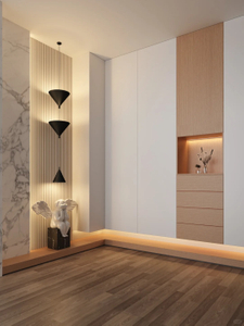 کابینت کفش از نوع تخته چندلای معلق 